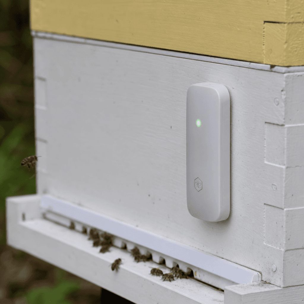 A sleek white electronic sensor mounted on the side of a beehive, glowing with a small green status light, with bees at the entrance below.