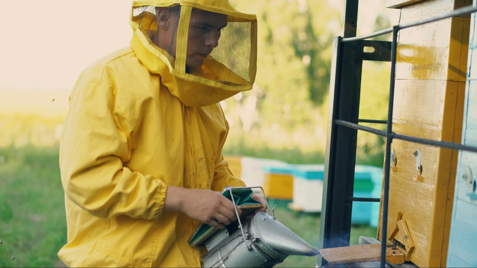 A beekeeper in protective gear holding a smartphone, checking hive data in the field — the kind of per-hive record-keeping that underpins traceability.