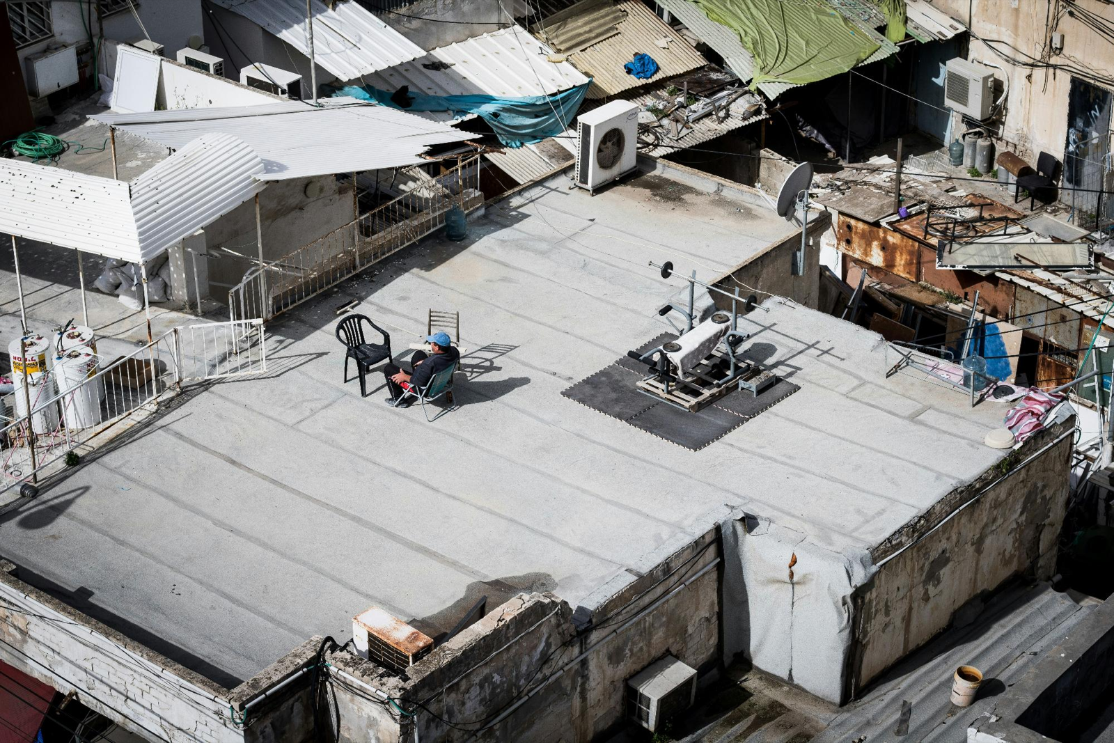 Beehives on a city rooftop with the skyline behind them — urban beekeeping bringing pollinators into the city.